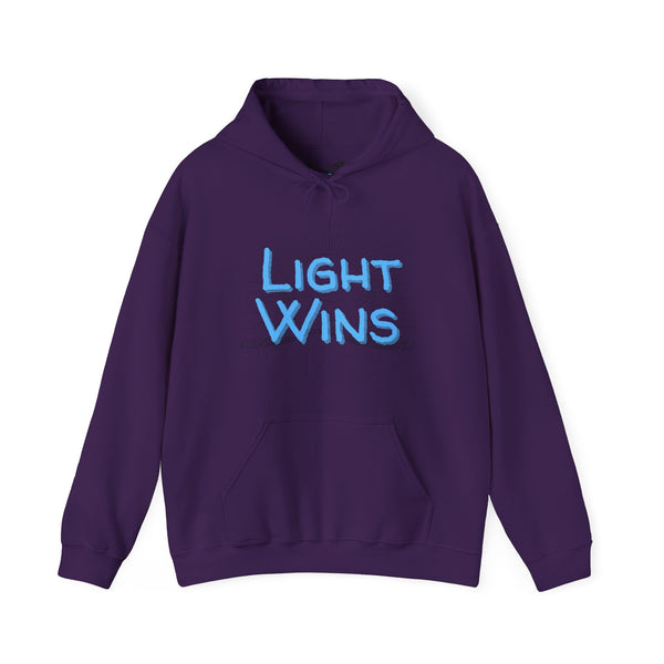 Beautiful Struggle - Light Wins Hoodie
